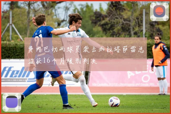 费内巴切两球员袭击加拉塔萨雷总监获16个月缓刑判决